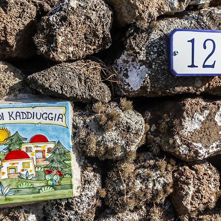 CampobelloDammuso I Pini Di Kaddiuggia别墅 外观 照片